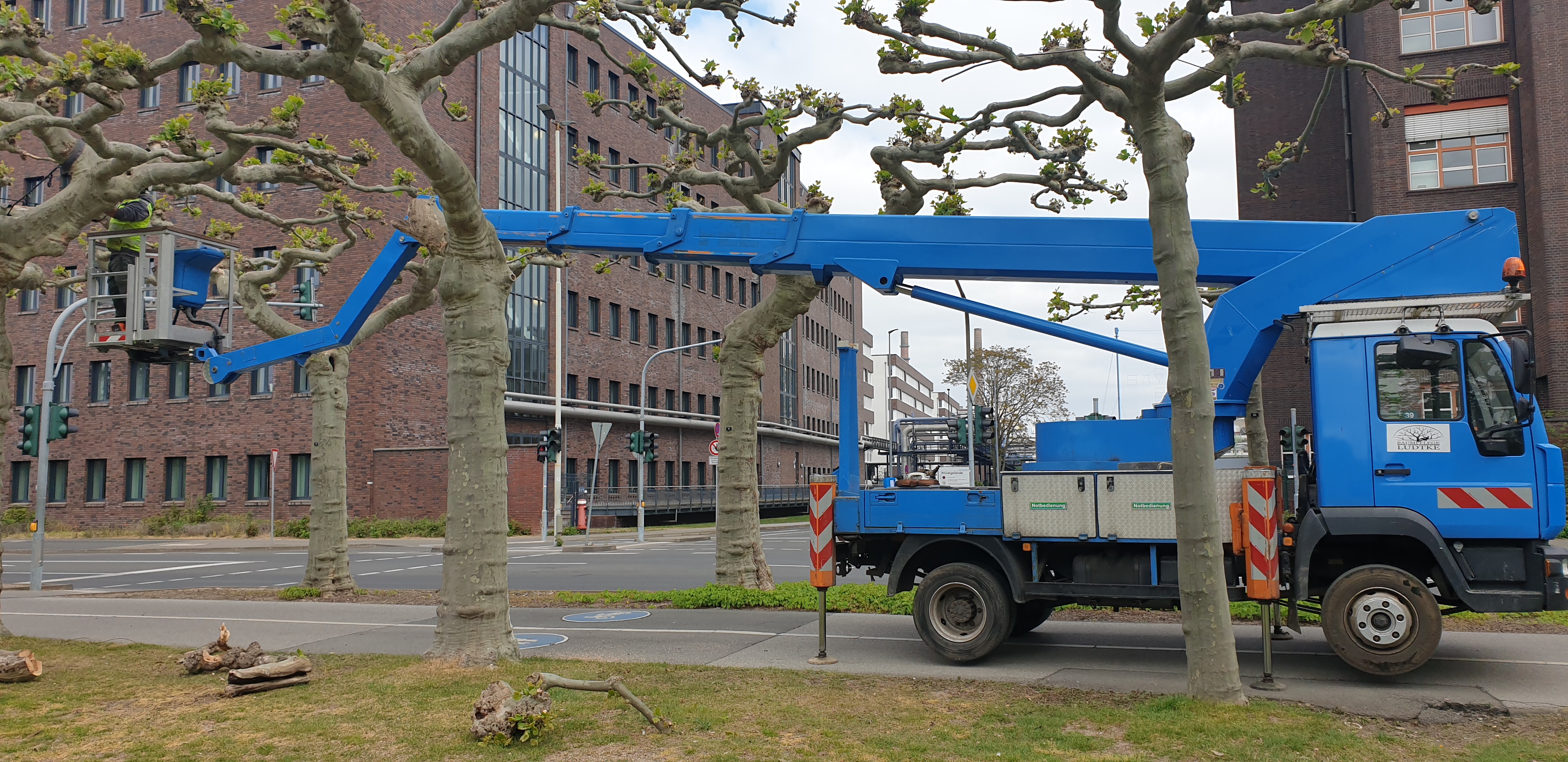 Kopie von 20200425_110511